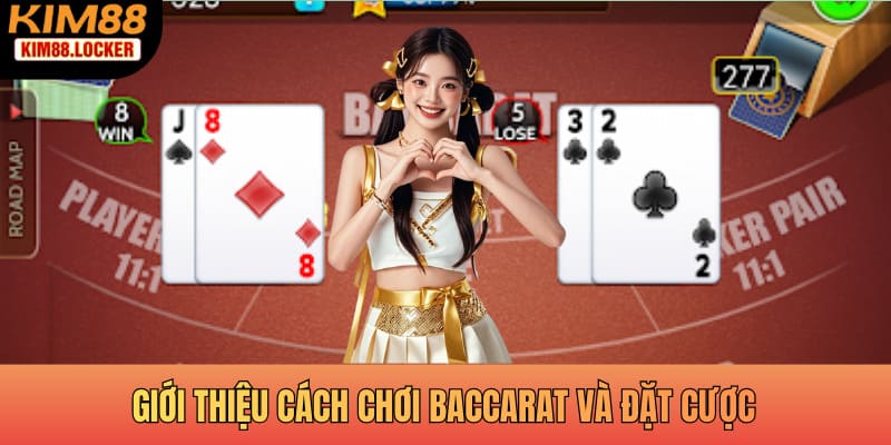 Giới thiệu cách chơi Baccarat và đặt cược cho người mới