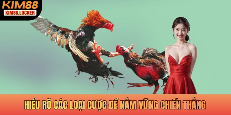 Hiểu rõ các loại cược để nắm vững chiến thắng