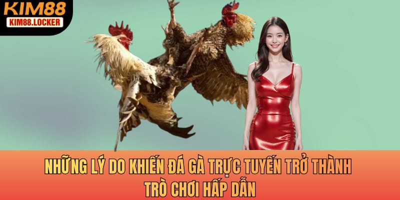 Những lý do khiến đá gà trực tuyến trở thành trò chơi hấp dẫn